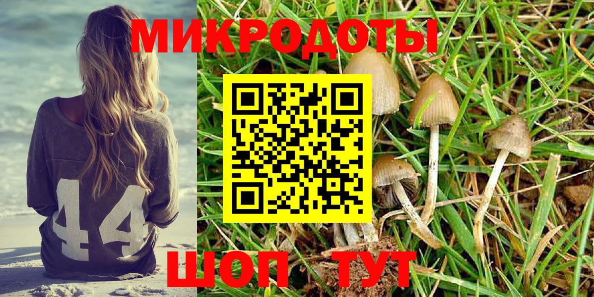 Псилоцибиновые грибы Psilocybine cubensis  Галлюциногенные грибы MAGIC MUSHROOMS  купить закладку  Вход с VPN  Сосновый Бор 